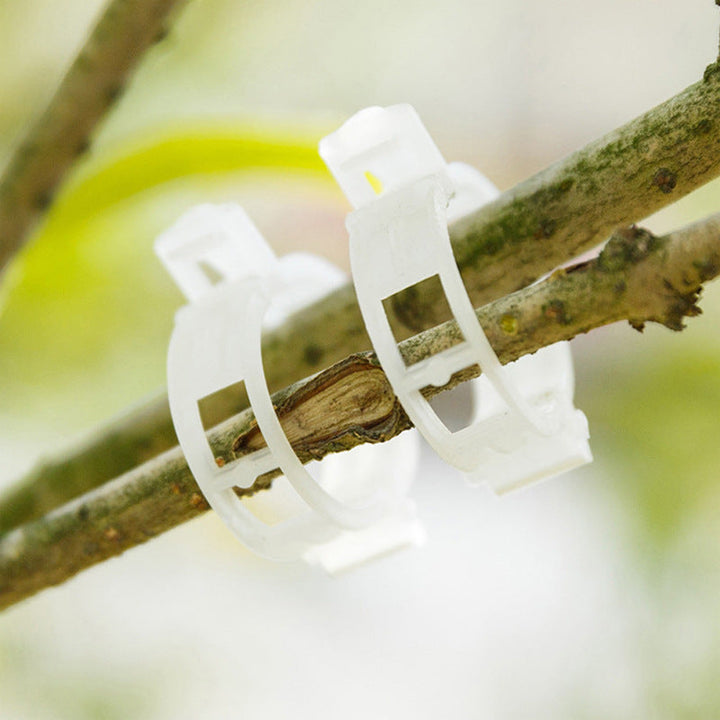 Practical Plant Support Clip | Bowlift