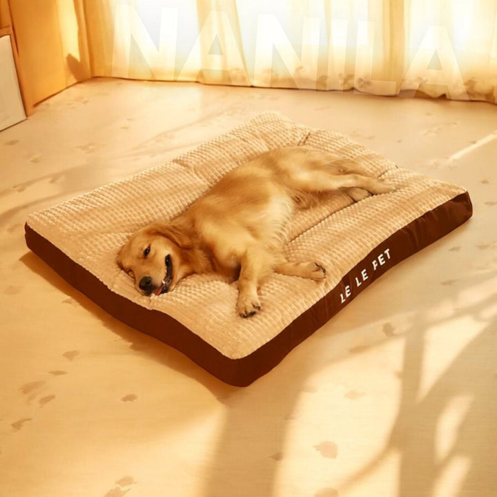 BowLift | SnoozePaw Luxury Dog Bed – Robust Foam, Removable Covers and Optimal Support