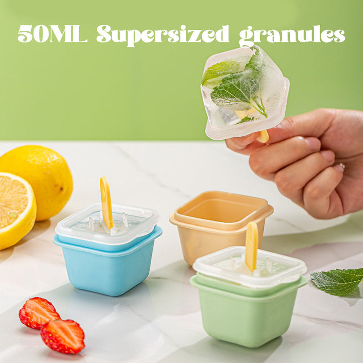 Single Ice Tray Mold 3 PCS | Bowlift