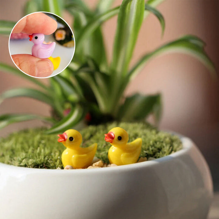 🦆Tiny Ducks | Challenge Hiding Ducks | Bowlift