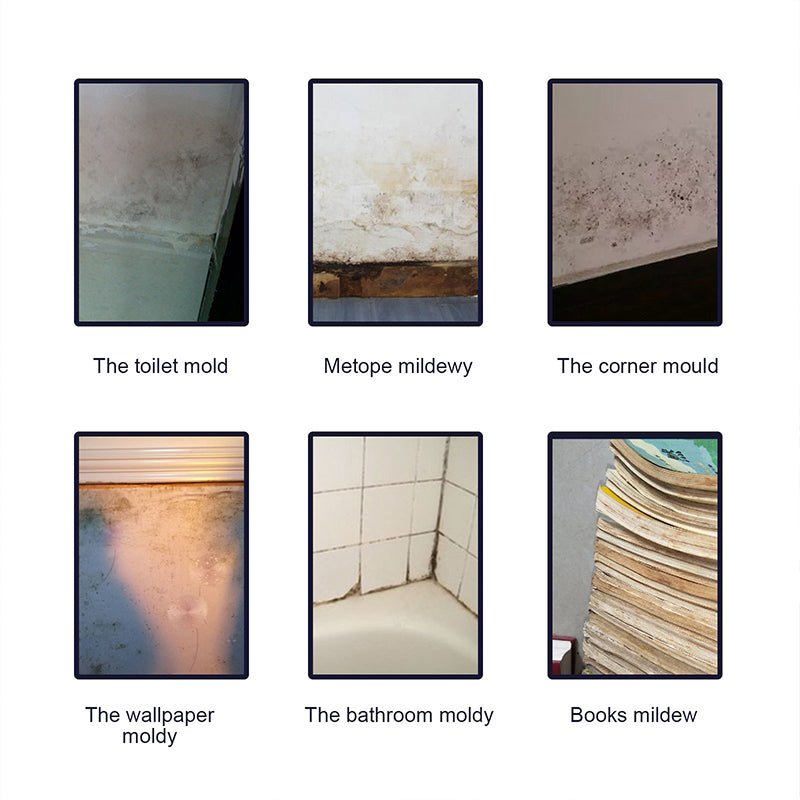 BowLift | Mold Remover Foam