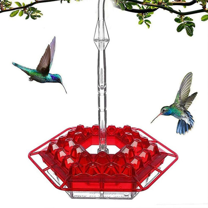 BowLift | New Hummingbird Feeder