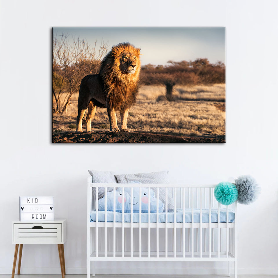 Majestic Lion Bathed In Sunlight - Canvas Wall Art Painting | Bowlift