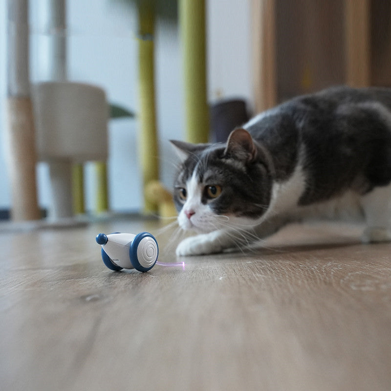 BowLift | Electric Smart Cat Toy