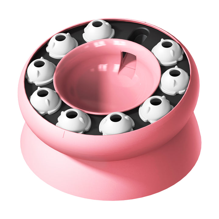 Weight Loss Cat Bowl – Slow Feeder Anti-Gulp Design