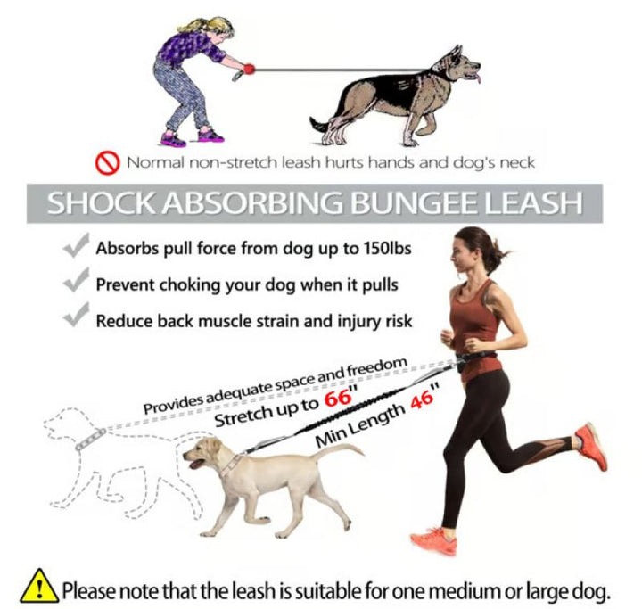 BowLift | Hands Free Dog Leash with Zipper Bag