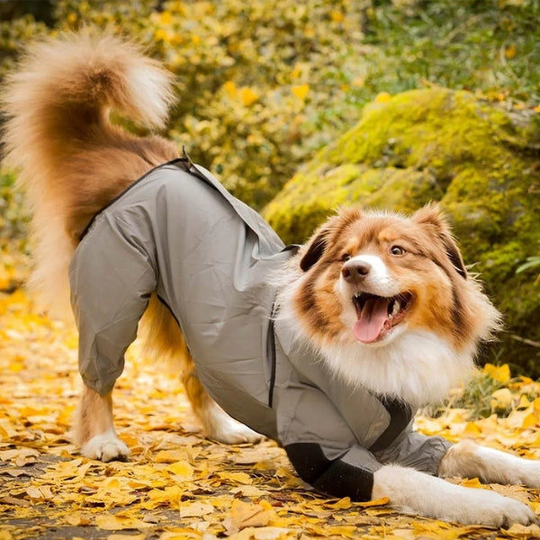 BowLift | Waterproof Dog Coat with Legs – Reflective Dog Rain Jacket for Small & Large Breeds | Best Rain Coat for Dogs UK