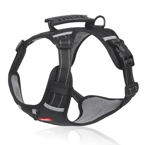BowLift | anti-pull dog harness for pain-free walks