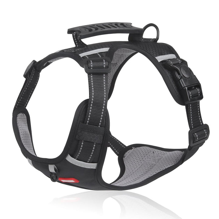 BowLift | No Pull Dog Harness for Pets