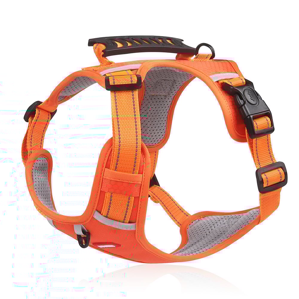 BowLift | No Pull Dog Harness for Pets