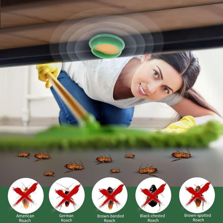 BowLift | Child- & Pet-Safe Roach Bait Discs