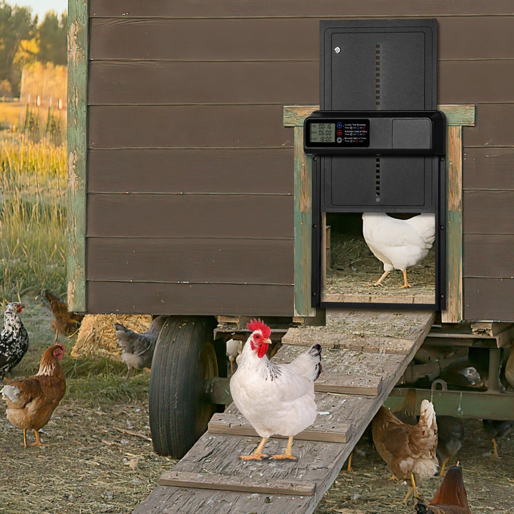 Chicken flap automatic timer | Bowlift