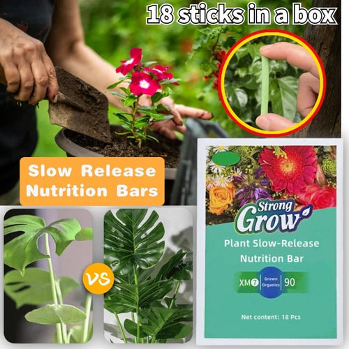 BowLift | Plant fertilizer sticks – Long lasting fertilizer for healthy growth