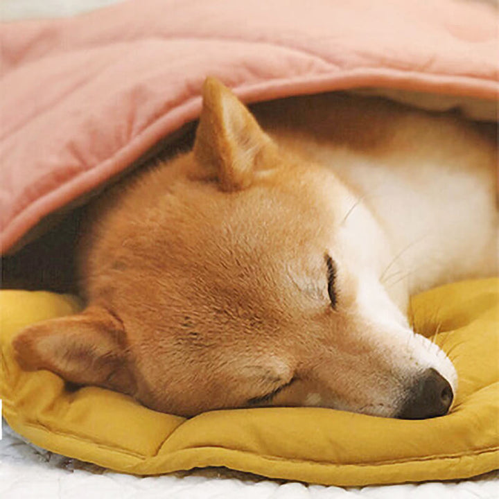 BowLift | Dog Blanket Mat for Large Pets