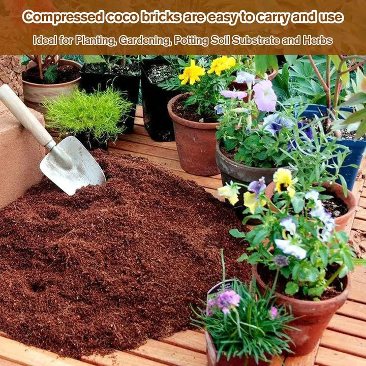 BowLift | 2-Piece Set Coconut Coir Briquettes for Plants – Organic Growing Substrate with High Water Retention!