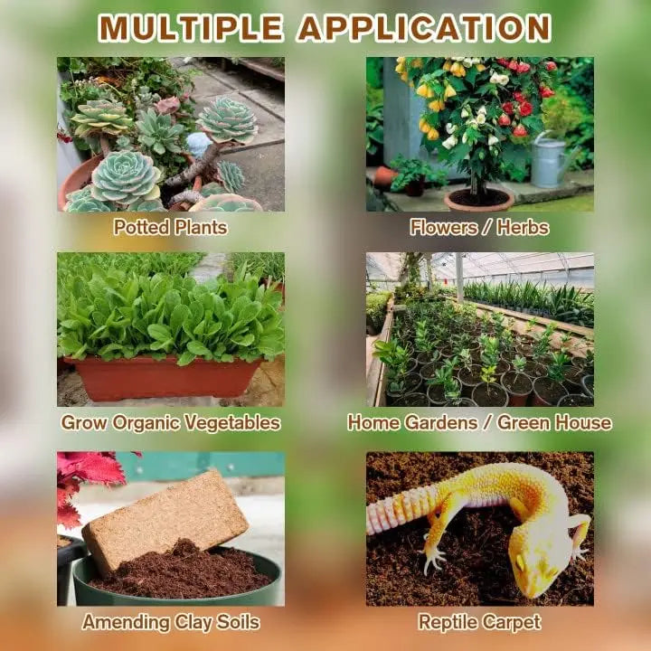 BowLift | 2-Piece Set Coconut Coir Briquettes for Plants – Organic Growing Substrate with High Water Retention!