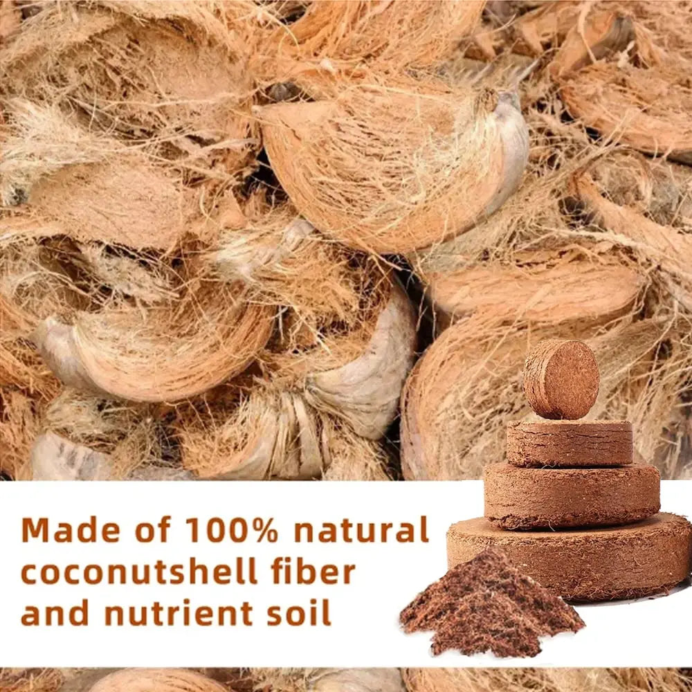 BowLift | 2-Piece Set Coconut Coir Briquettes for Plants – Organic Growing Substrate with High Water Retention!