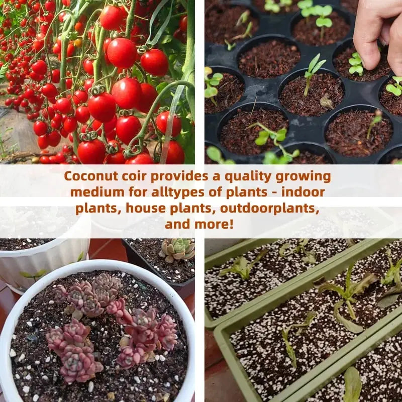 BowLift | 2-Piece Set Coconut Coir Briquettes for Plants – Organic Growing Substrate with High Water Retention!