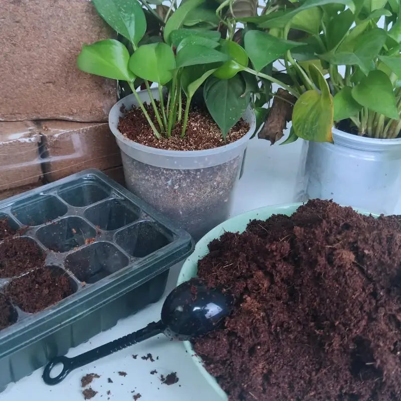 BowLift | 2-Piece Set Coconut Coir Briquettes for Plants – Organic Growing Substrate with High Water Retention!