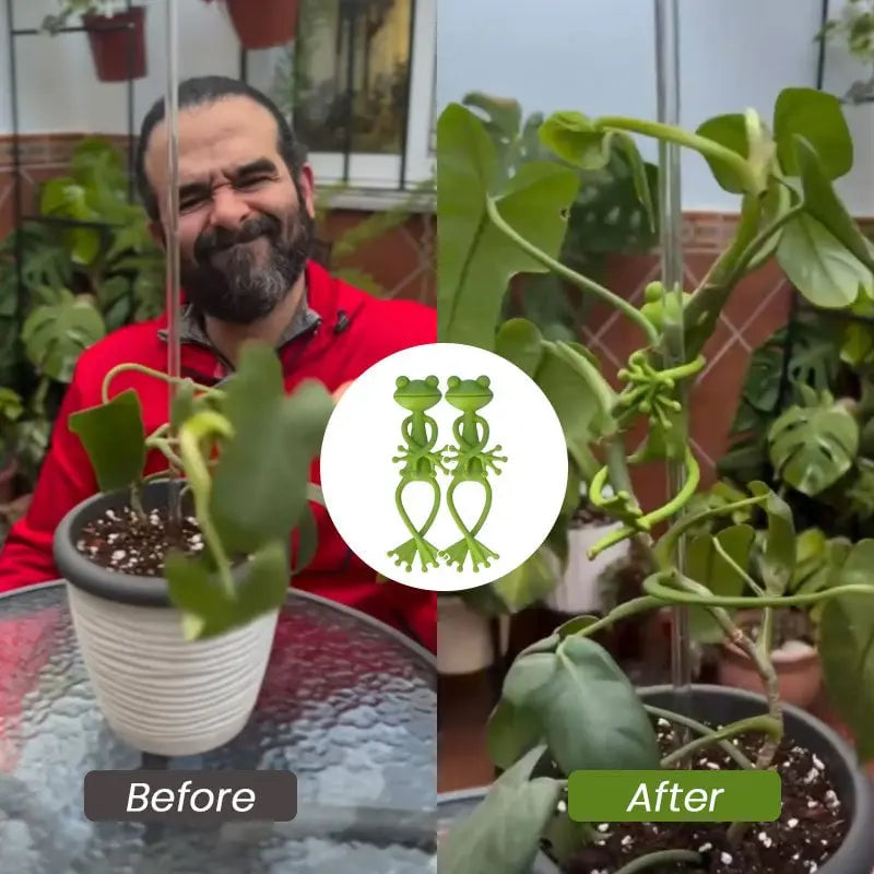 BowLift | 2-piece set plant holders in frog shape – for small pots & succulents!