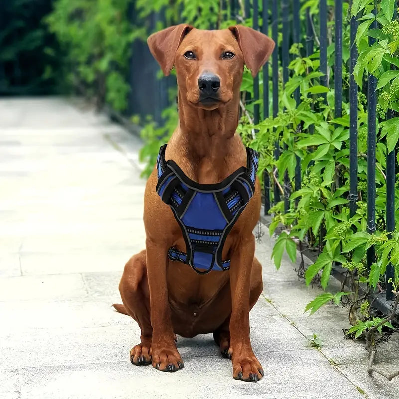 TotalControl •  No Pull Dog Harness