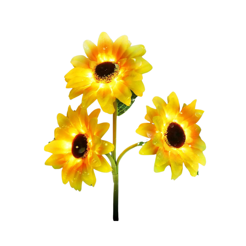 BowLift | SunGlow