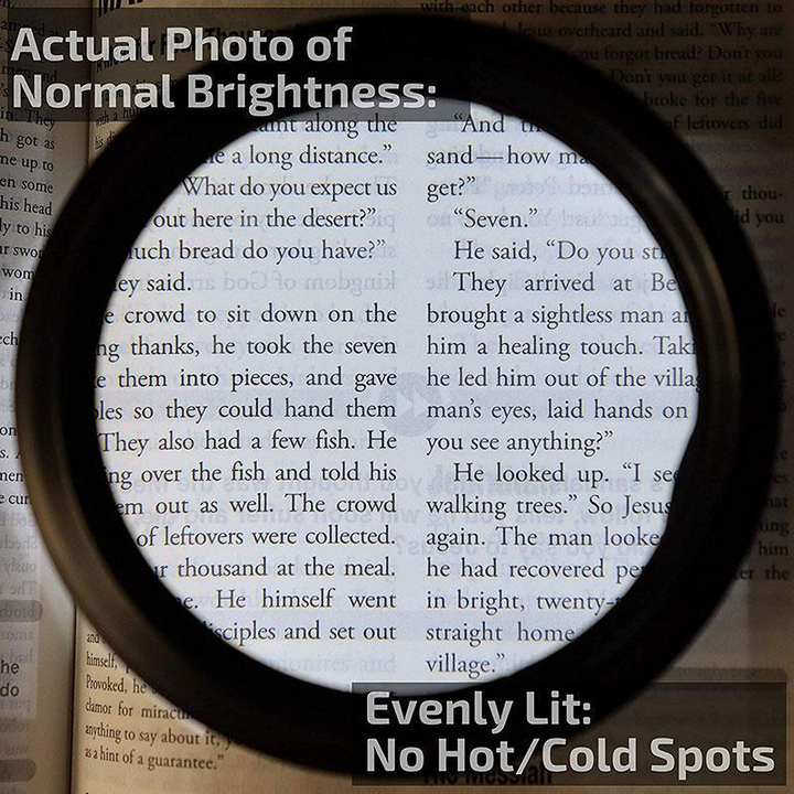 LED Reading Glass Magnifier | Bowlift