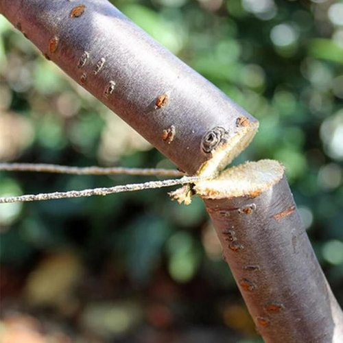 BowLift | Emergency Survival Stainless Steel Wire Saw