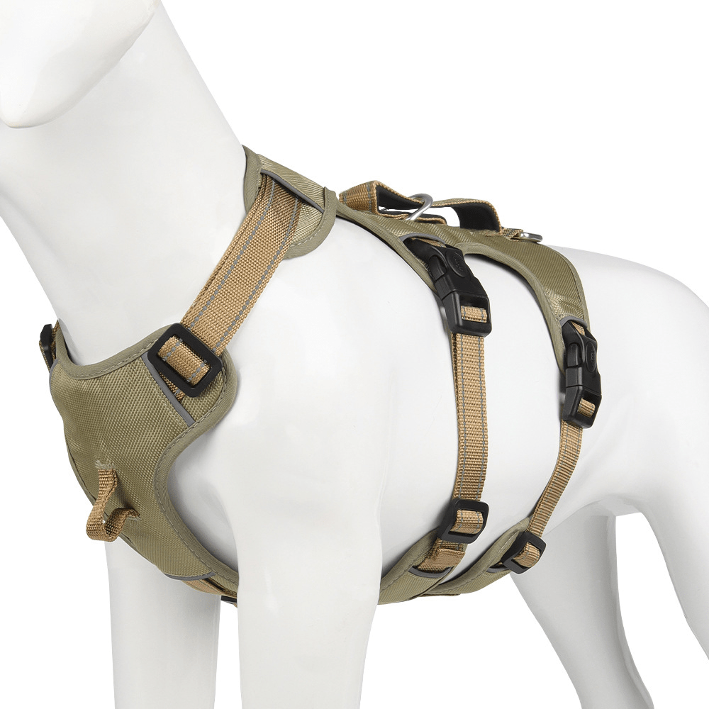 BowLift | Reflective & escape-proof for relaxed walks