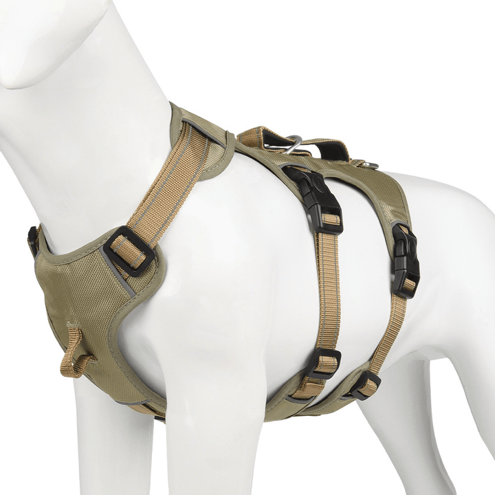 BowLift | Reflective & escape-proof for relaxed walks