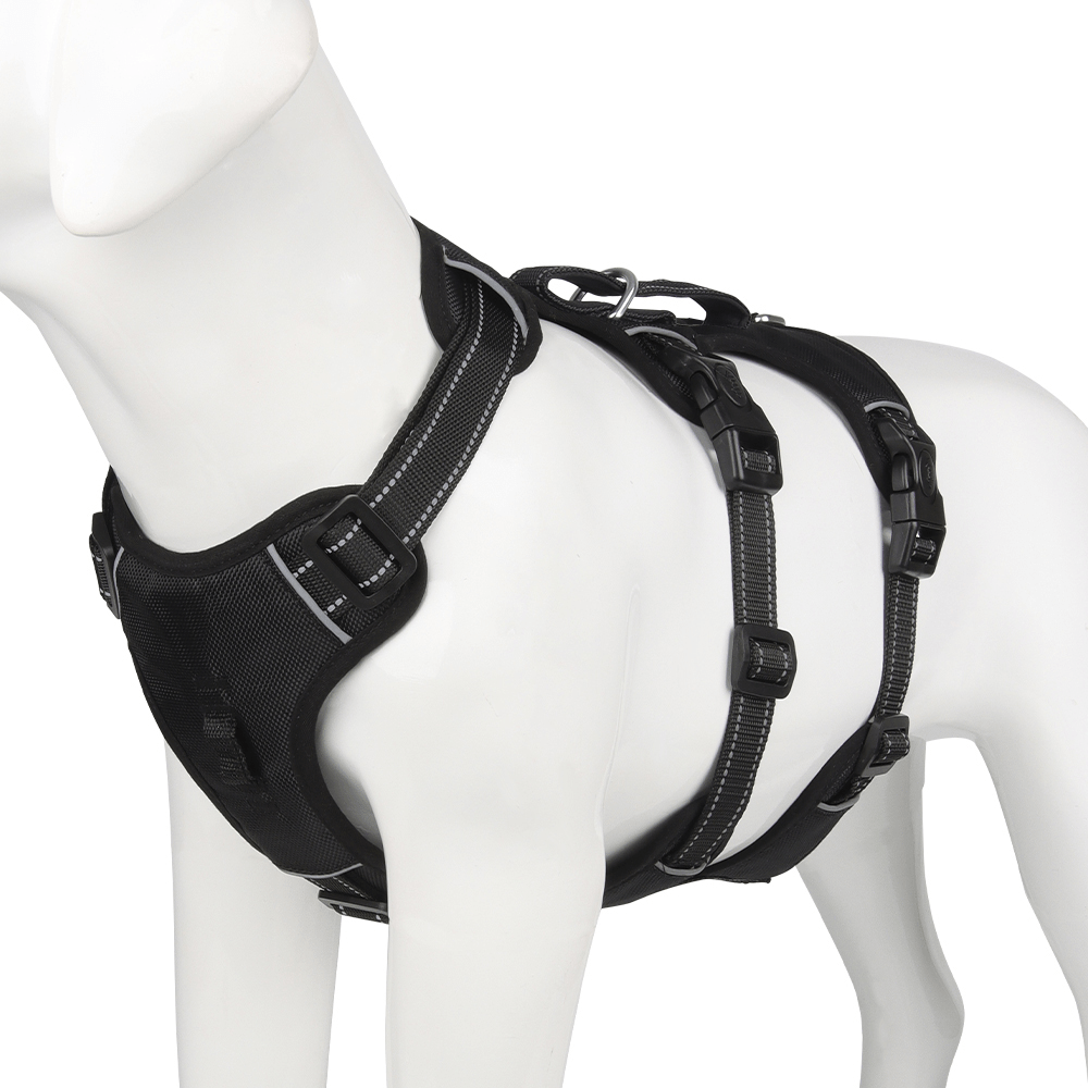 BowLift | Reflective & escape-proof for relaxed walks
