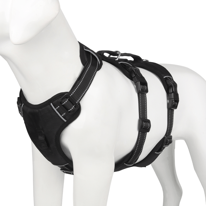 BowLift | Reflective & escape-proof for relaxed walks