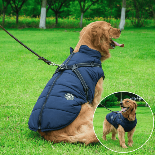 Winter Dog Jacket with Harness | Bowlift