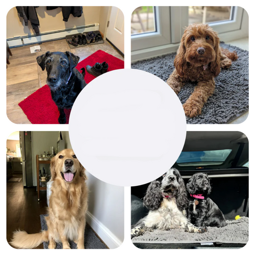 BowLift | Super Absorbent Dog Mat – PawMat