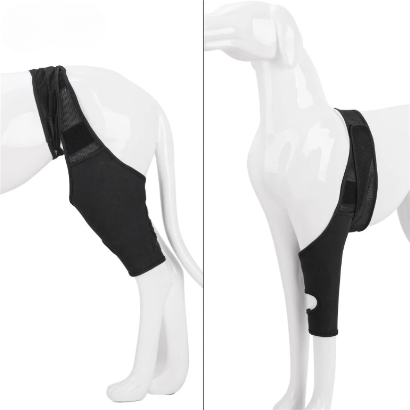 BowLift | PootVitaal Knee Brace for Dogs – Support for Joint Pain and Rehabilitation