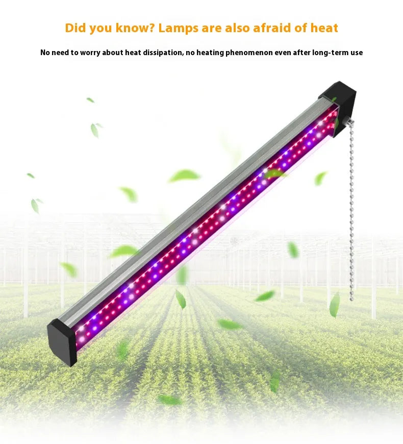 BowLift | LED plant lamp with full spectrum lighting and pull switch for optimal plant growth