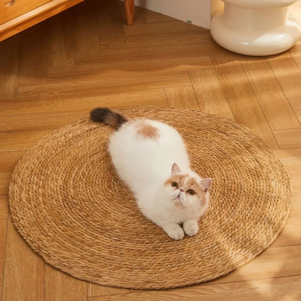 Scratching mat for cats | Bowlift