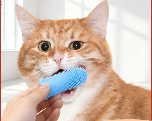 BowLift | Dog Cat Dental Finger Brushes