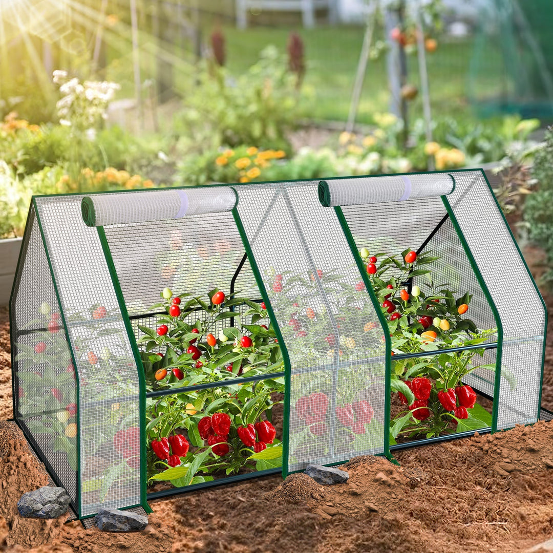 Greenhouse Tomato Greenhouse Hothouse | Bowlift