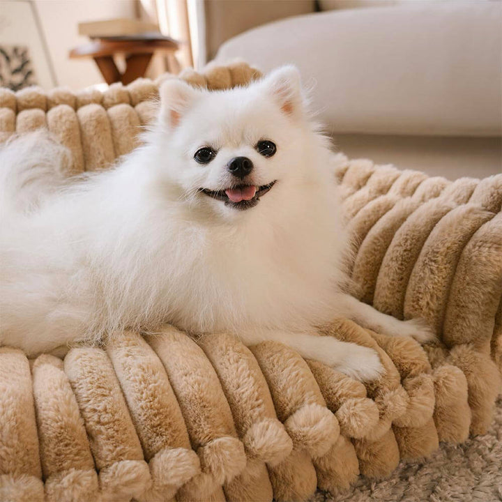 BowLift | PawComfort - Washable comfortable soft pet sofa