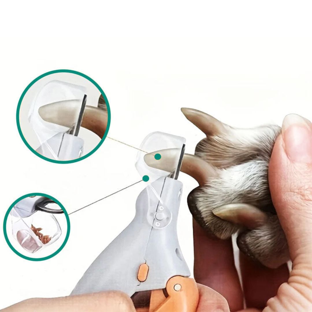 PawSure | Pet Nail Clipper - Quick Sensor - LED Light - Safety Guard - Stainless Steel Blades - Safe, Easy and Precise Nail Trimming Bowlift