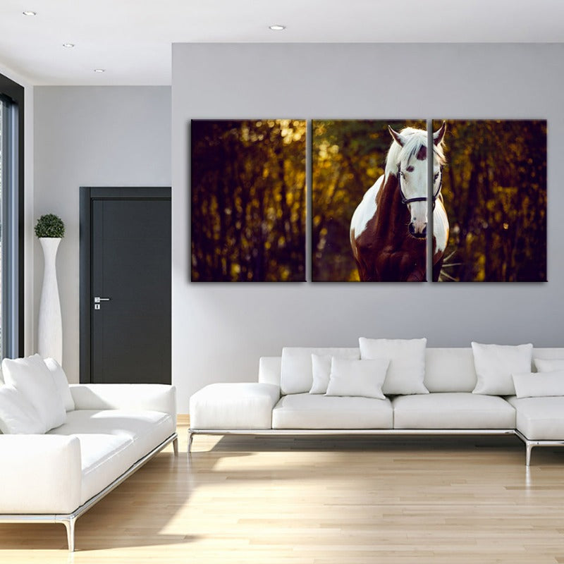 Courtly Overo Horse-Canvas Wall Art Painting 3 Pieces | Bowlift