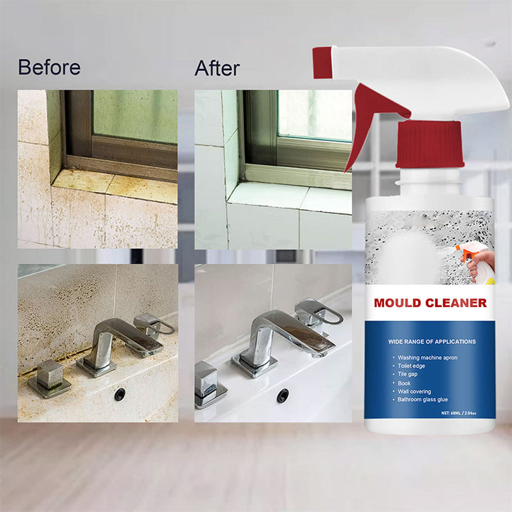 BowLift | Mold Remover Foam