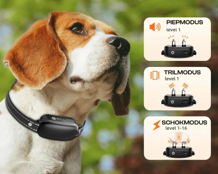 BowLift | Dog Coach Pro Training Collar – Waterproof Electronic Collar with Remote Control