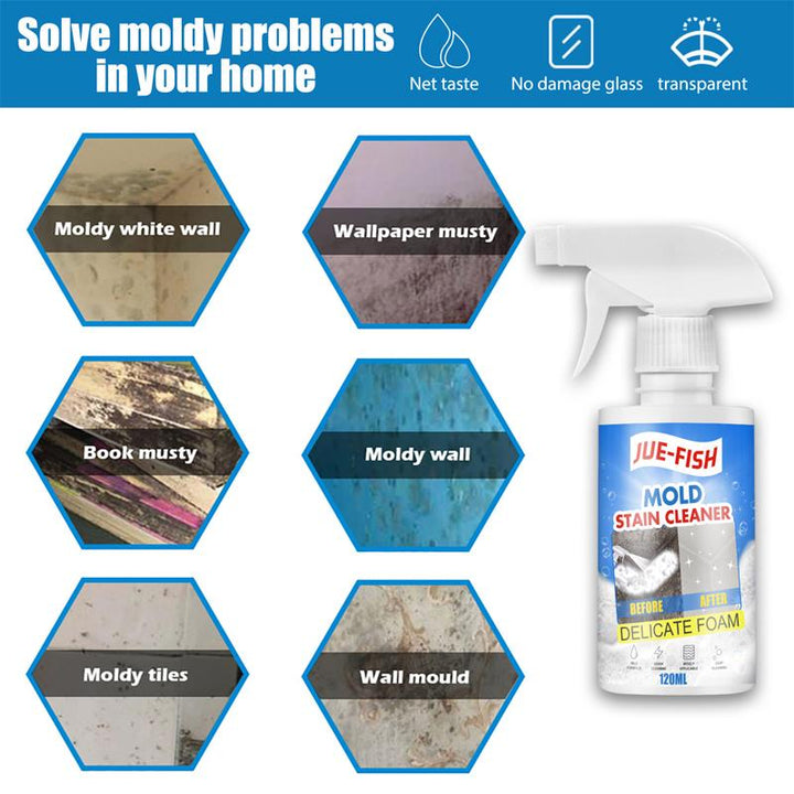 BowLift | Mold and Mildew Remover Cleaning Spray
