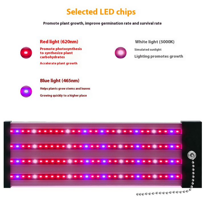 BowLift | LED plant lamp with full spectrum lighting and pull switch for optimal plant growth