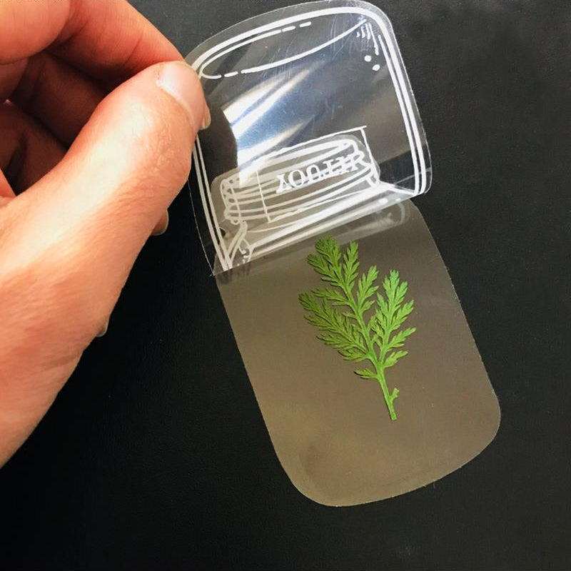 BowLift | Transparent dried flower bookmarks