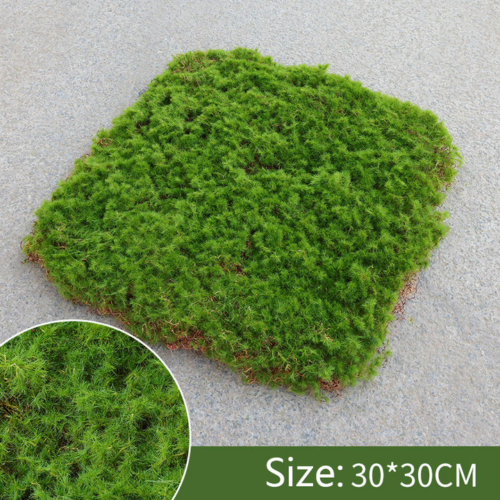 BowLift | Moss Cover Piece – Moss Flakes Ornament for Decoration and Landscaping