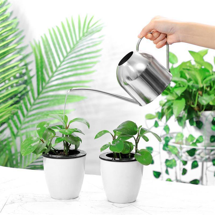 BowLift | AquaGrace Stainless Steel Watering Can with Flexible Neck | Modern Design | Perfect Watering | Rustproof