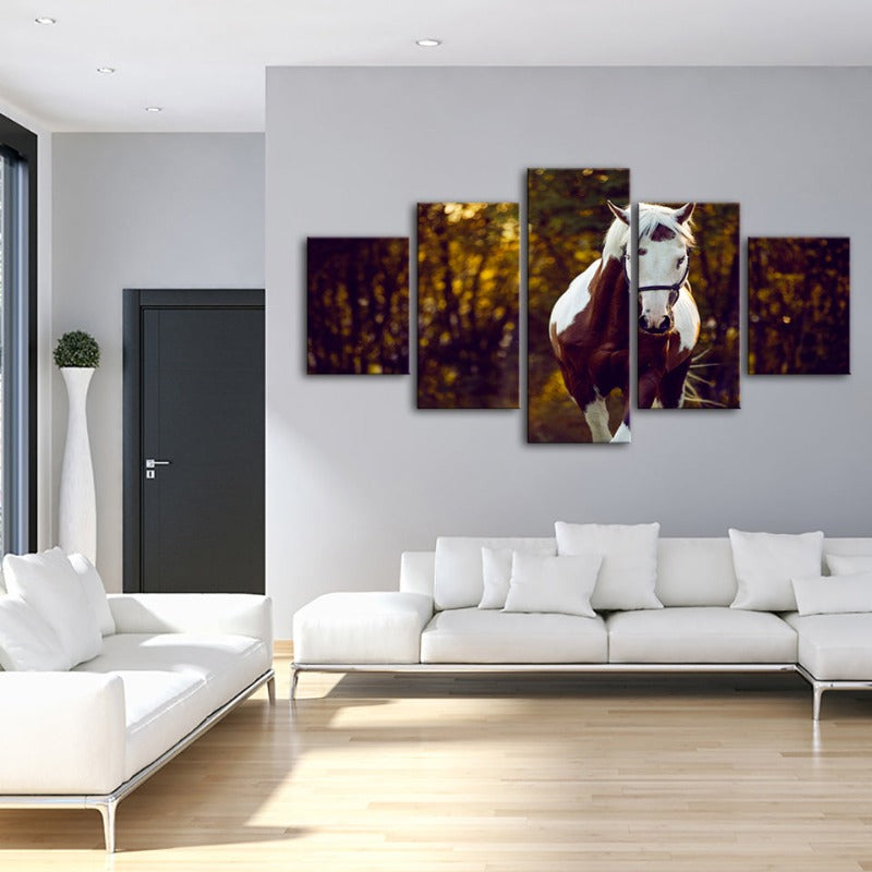 5 Piece Courtly Overo Horse - Canvas Wall Art Painting | Bowlift